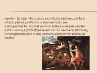 Apolo - Já que não podes ser minha esposa, serás a minha planta preferida e eternamente me acompanharás. Usarei as tuas folhas sempre verdes como coroa e participarás em todos os meus triunfos, consagrando com a tua verdura perfumada todos os heróis 