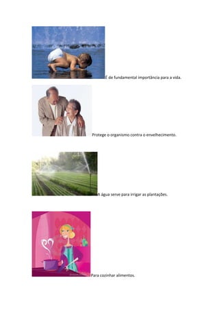 É de fundamental importância para a vida.

Protege o organismo contra o envelhecimento.

A água serve para irrigar as plantações.

Para cozinhar alimentos.

 