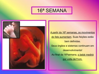 Trabalho Lurdes E FáTima