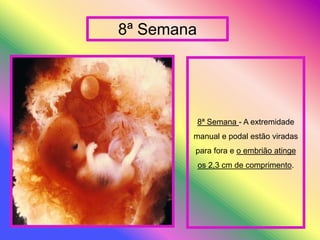 Trabalho Lurdes E FáTima