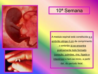 Trabalho Lurdes E FáTima