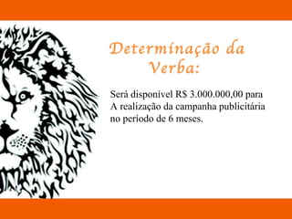 Determinação da Verba:  Será disponível R$ 3.000.000,00 para  A realização da campanha publicitária  no período de 6 meses. 