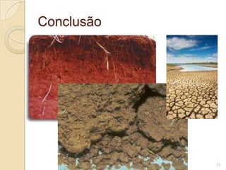 Conclusão
13
 