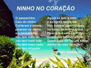 NINHO NO CORAÇÃO O passarinho Caiu do ninho Cortaram a árvore, pisaram no ninho, e o passarinho não tem mais lar, não tem mais mãe não tem mais nada, não tem ninguém . Agora só tem a mim e eu agora tenho ele. Vou colocar com cuidado no bolso da minha blusa. Parece que está com frio, pois pulsa na minha mão. Quem sabe ele faz um ninho dentro do meu coração? (Pedro Bandeira) 