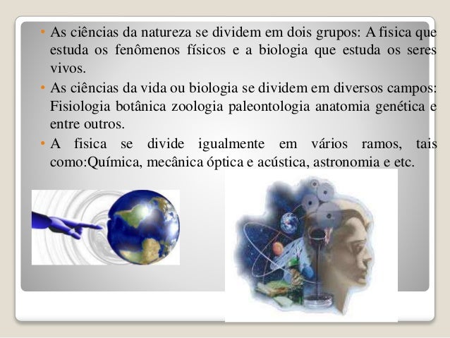 O que se estuda em anatomia humana O que se estuda em anatomia humana