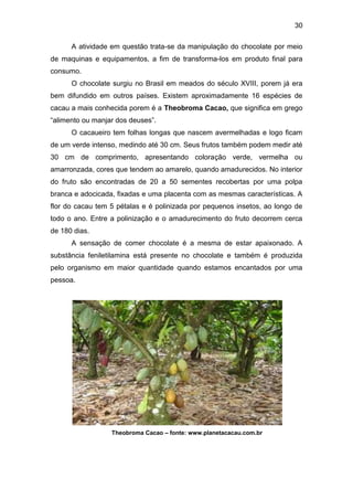 30
A atividade em questão trata-se da manipulação do chocolate por meio
de maquinas e equipamentos, a fim de transforma-los em produto final para
consumo.
O chocolate surgiu no Brasil em meados do século XVIII, porem já era
bem difundido em outros países. Existem aproximadamente 16 espécies de
cacau a mais conhecida porem é a Theobroma Cacao, que significa em grego
“alimento ou manjar dos deuses”.
O cacaueiro tem folhas longas que nascem avermelhadas e logo ficam
de um verde intenso, medindo até 30 cm. Seus frutos também podem medir até
30 cm de comprimento, apresentando coloração verde, vermelha ou
amarronzada, cores que tendem ao amarelo, quando amadurecidos. No interior
do fruto são encontradas de 20 a 50 sementes recobertas por uma polpa
branca e adocicada, fixadas e uma placenta com as mesmas características. A
flor do cacau tem 5 pétalas e é polinizada por pequenos insetos, ao longo de
todo o ano. Entre a polinização e o amadurecimento do fruto decorrem cerca
de 180 dias.
A sensação de comer chocolate é a mesma de estar apaixonado. A
substância feniletilamina está presente no chocolate e também é produzida
pelo organismo em maior quantidade quando estamos encantados por uma
pessoa.
Theobroma Cacao – fonte: www.planetacacau.com.br
 