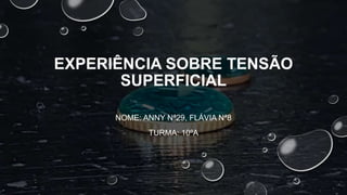 EXPERIÊNCIA SOBRE TENSÃO
SUPERFICIAL
NOME: ANNY Nª29, FLÁVIA Nª8
TURMA: 10ºA
 