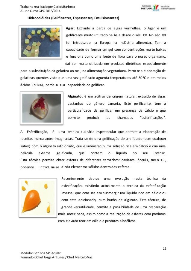 Gastronomia Molecular... Ciência na cozinha