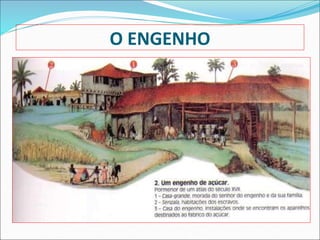 O ENGENHO
 