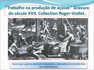 “Trabalho na produção de açúcar.” Gravura
do século XVII. Collection Roger-Viollet.
Atente que a gravura pretende demonstrar a intensidade do trabalho feito
por muitos braços.
 