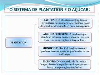 O SISTEMA DE PLANTATION E O AÇÚCAR:
PLANTATION:
LATIFÚNDIO: O sistema de Capitanias
Hereditárias e as sesmaria determinou a posse
de grandes extensões de terra a uma só pessoa.
AGRO-EXPORTAÇÃO: A produção que
atende ao interesse do mercado externo, sem
levar em consideração o interesse local.
MONOCULTURA: Cultivo de apenas um
produto, no caso, o açúcar, produto lucrativo
na Europa.
ESCRAVISMO: A necessidade de muitos
braços, determina que Portugal opte por essa
forma de exploração do trabalho.
 