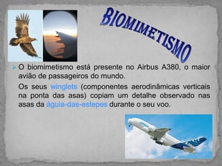  O biomimetismo está presente no Airbus A380, o maior
 avião de passageiros do mundo.
 Os seus winglets (componentes aerodinâmicas verticais
 na ponta das asas) copiam um detalhe observado nas
 asas da águia-das-estepes durante o seu voo.
 