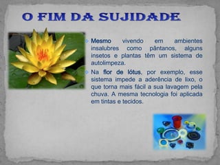  Mesmo       vivendo    em     ambientes
  insalubres como pântanos, alguns
  insetos e plantas têm um sistema de
  autolimpeza.
 Na flor de lótus, por exemplo, esse
  sistema impede a aderência de lixo, o
  que torna mais fácil a sua lavagem pela
  chuva. A mesma tecnologia foi aplicada
  em tintas e tecidos.
 