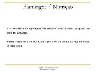 Flamingos / Nutrição Nutrição e Alimentação Animal  Enfermagem Veterinária A dificuldade de reprodução em cativeiro, levou a várias pesquisas por parte dos cientistas.  Estes chegaram á conclusão da importância da cor rosada dos flamingos, na reprodução. 