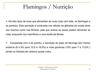 Flamingos / Nutrição Nutrição e Alimentação Animal  Enfermagem Veterinária Há dois tipos de aves que alimentam as suas crias com leite, os flamingos e os pombos. Esta secreção é produzida nas células da glândula da moela tanto nos machos como nas fêmeas, pelo que ambos os sexos podem alimentar as crias, enquanto nos mamíferos é uma tarefa da fêmea. Comparada com a do pombo, a secreção do papo do flamingo tem menos proteína (8 a 9% para 13,5 a 18.5%) e mais gorduras (15% para 7 a 13,5% ) sendo os hidratos de carbono quase nulos. 