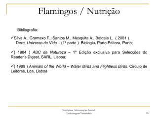 Flamingos / Nutrição Nutrição e Alimentação Animal  Enfermagem Veterinária Bibliografia: Silva A., Gramaxo F., Santos M., Mesquita A., Baldaia L.  ( 2001 ) Terra, Universo de Vida  – (1º parte )  Biologia. Porto Editora, Porto; ( 1984 )  ABC da Natureza –  1º Edição   exclusiva para Selecções do Reader’s Digest, SARL, Lisboa; ( 1989 )  Animals of the World – Water Birds and Flightless Birds.  Circulo de Leitores, Lda, Lisboa 