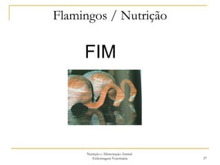 Flamingos / Nutrição Nutrição e Alimentação Animal  Enfermagem Veterinária FIM 