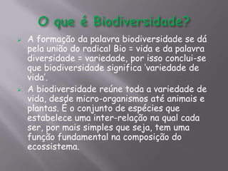 Biodiversidade Brasileira | PPTX