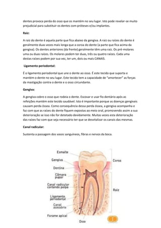 dentes provoca perda do osso que os mantém no seu lugar. Isto pode revelar-se muito
prejudicial para substituir os dentes com próteses e/ou implantes.
Raiz:
A raiz do dente é aquela parte que fica abaixo da gengiva. A raiz ou raízes do dente é
geralmente duas vezes mais longa que a coroa do dente (a parte que fica acima da
gengiva). Os dentes anteriores (da frente) geralmente têm uma raiz. Os pré-molares
uma ou duas raízes. Os molares podem ter duas, três ou quatro raízes. Cada uma
destas raízes podem por sua vez, ter um, dois ou mais CANAIS.
Ligamento periodontal:
É o ligamento periodontal que une o dente ao osso. É este tecido que suporta e
mantém o dente no seu lugar. Este tecido tem a capacidade de “amortecer” as forças
da mastigação contra o dente e o osso circundante.
Gengiva:
A gengiva cobre o osso que rodeia o dente. Escovar e usar fio dentário após as
refeições mantém este tecido saudável. Isto é importante porque as doenças gengivais
causam perda óssea. Como consequência dessa perda óssea, a gengiva acompanha e
faz com que as raízes do dente fiquem expostas ao meio oral, promovendo assim a sua
deterioração se isso não for detetado devidamente. Muitas vezes esta deterioração
das raízes faz com que seja necessário ter que se desvitalizar os canais das mesmas.
Canal radicular:
Sustenta a passagem dos vasos sanguíneos, fibras e nervos da boca.
 