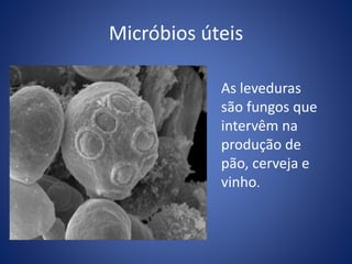 Micróbios úteis
As leveduras
são fungos que
intervêm na
produção de
pão, cerveja e
vinho.
 