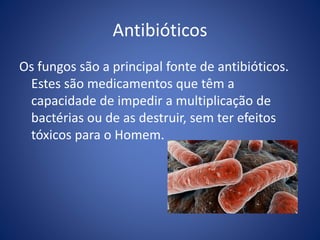 Antibióticos
Os fungos são a principal fonte de antibióticos.
Estes são medicamentos que têm a
capacidade de impedir a multiplicação de
bactérias ou de as destruir, sem ter efeitos
tóxicos para o Homem.
 