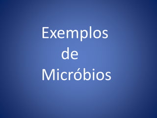 Exemplos
de
Micróbios
 