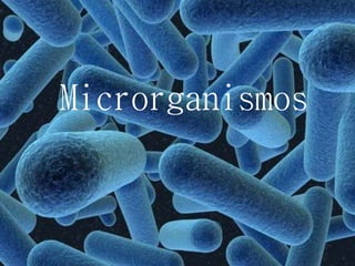 Microrganismos
 