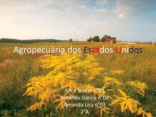 Agropecuária dos Estados Unidos
Alice Soster n°01
Amanda Garcia n°02
Amanda Lira n°03
2°A
 