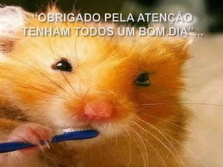 “OBRIGADO PELA ATENÇÃOTENHAM TODOS UM BOM DIA”...