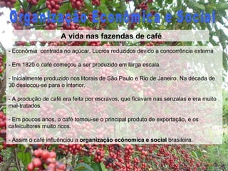Organização Econômica e Social A vida nas fazendas de café - Econômia  centrada no açúcar. Lucros reduzidos devido a concorrência externa - Em 1820 o café começou a ser produzido em larga escala. - Inicialmente produzido nos litorais de São Paulo e Rio de Janeiro. Na década de 30 deslocou-se para o interior. - A produção de café era feita por escravos, que ficavam nas senzalas e era muito mal-tratados. - Em poucos anos, o café tornou-se o principal produto de exportação, e os cafeicultores muito ricos. - Assim o café influênciou a  organização ecônomica e social  brasileira. 