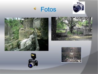 Clube Desportivo das Aves O Clube Desportivo das Aves foi fundado a 12 de Novembro de 1930 por um grupo de amigos que regularmente se reunia na Sapataria do Pedras", junto ao mercado da vila, na Rua General Humberto Delgado. José Pedrosa Mendonça Balsemão, com apenas 22 anos, foi o principal mentor da criação de um clube desportivo na freguesia de S. Miguel das Aves, ideia apoiada por António Pinto Lobão, José Castro Pedras, Joaquim Castro Pedras, António Ferreira da Silva Costa e Silvério Patrício Costa Cruz. A primeira sede foi instalada no rés-do-chão de um prédio da Rua Silva Araújo, onde actualmente está sedeada a Foto Aviz.