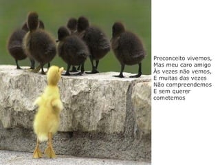 Preconceito vivemos, Mas meu caro amigo Às vezes não vemos, E muitas das vezes Não compreendemos E sem querer cometemos 