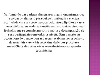 Na formação das cadeias alimentares alguns organismos que
    servem de alimento para outros transferem a energia
acumulada em suas proteínas, carboidratos e lipídios a esses
 consumidores. As cadeias constituem verdadeiros circuitos
fechados que se completam com a morte e decomposição de
   seus participantes em todos os níveis. Sem a morte ou
decomposição o meio dessas cadeias acabaria por esgotar-se
    de materiais essenciais a continuidade dos processos
   metabólicos dos seres vivos e conduziria ao colapso do
                        ecossistema.
 