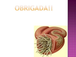 Trabalho parasitismo