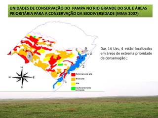 UNIDADES DE CONSERVAÇÃO DO PAMPA NO RIO GRANDE DO SUL E ÁREAS
PRIORITÁRIA PARA A CONSERVAÇÃO DA BIODIVERSIDADE (MMA 2007)




                                        Das 14 Ucs, 4 estão localizadas
                                        em áreas de extrema prioridade
                                        de conservação ;
 