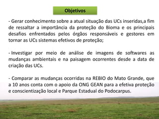 Objetivos
- Gerar conhecimento sobre a atual situação das UCs inseridas,a fim
de ressaltar a importância da proteção do Bioma e os principais
desafios enfrentados pelos órgãos responsáveis e gestores em
tornar as UCs sistemas efetivos de proteção;

- Investigar por meio de análise de imagens de softwares as
mudanças ambientais e na paisagem ocorrentes desde a data de
criação das UCs.

- Comparar as mudanças ocorridas na REBIO do Mato Grande, que
a 10 anos conta com o apoio da ONG GEAN para a efetiva proteção
e conscientização local e Parque Estadual do Podocarpus.
 