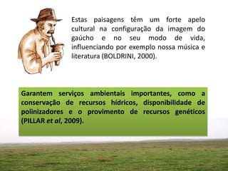 Estas paisagens têm um forte apelo
              cultural na configuração da imagem do
              gaúcho e no seu modo de vida,
              influenciando por exemplo nossa música e
              literatura (BOLDRINI, 2000).



Garantem serviços ambientais importantes, como a
conservação de recursos hídricos, disponibilidade de
polinizadores e o provimento de recursos genéticos
(PILLAR et al, 2009).
 