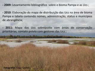- 2009: Levantamento bibliográfico sobre o bioma Pampa e as Ucs ;

- 2010: Elaboração do mapa de distribuição das Ucs na área de bioma
Pampa e tabela contendo nomes, administração, status e municípios
de abrangência;

- 2011: Mapa das Ucs sobreposto com áreas de conservação
prioritárias, contato prévio com gestores das Ucs ;




Fotografia: Tiago Gomes
 