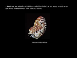 • Nautilus é um animal pré-histórico que habita ainda hoje em aguas oceânicas em
que a sua visão se baseia num sistema pinhole
Nautilus, Douglas Faulkner
 