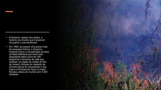 • Entretanto, apesar dos dados, a
história nos mostra que é possível
recuperar o que perdemos.
• Em 1862, ao passar uma grave crise
de escassez hídrica, o Governo
Imperial iniciou a recuperação da área
de Mata Atlântica que havia sido
degradada pelos cerca de 160
engenhos e lavouras de café que
existiam na região da cidade do Rio
de Janeiro. Através do replantio de
árvores típicas foi recuperado o que
hoje é a Floresta da Tijuca. A maior
floresta urbana do mundo com 3.300
hectares.
 