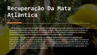 Recuperação Da Mata
Atlântica
• Para realizar a recuperação da Mata Atlântica é necessário um bom planejamento e um trabalho que
privilegie os resultados a longo prazo. Entretanto, é impossível falar de preservação sem combater as
atividades e elementos que obstruem o crescimento da floresta, tal qual a realização de atividades
agropecuárias próximas a locais de preservação, o avanço de pragas, entre outros.
• A primeira e mais recomendável forma de recuperação da floresta é a prática da Regeneração
Espontânea, por ser a maneira mais barata, limpa e prática. Como o próprio nome sugere, consiste em
permitir que a própria floresta se recupere, sem a intervenção humana, através dos diversos meio de
dispersão de sementes existentes na natureza, como a ação dos ventos, de pássaros e de insetos. Para
isso, como já foi dito, é preciso interromper práticas e fenômenos que atrapalhem a regeneração ou
que agridam direta ou indiretamente a vegetação.
 