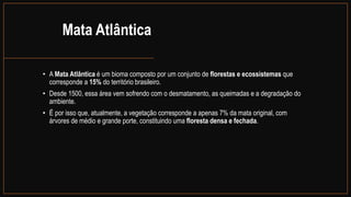 Mata Atlântica
• A Mata Atlântica é um bioma composto por um conjunto de florestas e ecossistemas que
corresponde a 15% do território brasileiro.
• Desde 1500, essa área vem sofrendo com o desmatamento, as queimadas e a degradação do
ambiente.
• É por isso que, atualmente, a vegetação corresponde a apenas 7% da mata original, com
árvores de médio e grande porte, constituindo uma floresta densa e fechada.
 