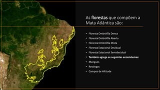 As florestas que compõem a
Mata Atlântica são:
• Floresta Ombrófila Densa
• Floresta Ombrófila Aberta
• Floresta Ombrófila Mista
• Floresta Estacional Decidual
• Floresta Estacional Semidecidual
• Também agrega os seguintes ecossistemas:
• Mangues
• Restingas
• Campos de Altitude
 