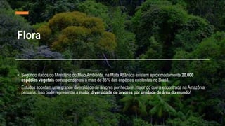 Flora
• Segundo dados do Ministério do Meio Ambiente, na Mata Atlântica existem aproximadamente 20.000
espécies vegetais correspondentes a mais de 35% das espécies existentes no Brasil.
• Estudos apontam uma grande diversidade de árvores por hectare, maior do que a encontrada na Amazônia
peruana. Isso pode representar a maior diversidade de árvores por unidade de área do mundo!
 