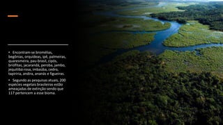 • Encontram-se bromélias,
begônias, orquídeas, ipê, palmeiras,
quaresmeira, pau-brasil, cipós,
briófitas, jacarandá, peroba, jambo,
jequitibá-rosa, imbaúba, cedro,
tapiriria, andira, ananás e figueiras.
• Segundo as pesquisas atuais, 200
espécies vegetais brasileiras estão
ameaçadas de extinção sendo que
117 pertencem a esse bioma.
 