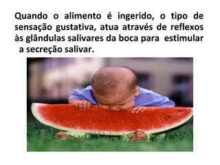 Quando o alimento é ingerido, o tipo de
sensação gustativa, atua através de reflexos
às glândulas salivares da boca para estimular
a secreção salivar.
 