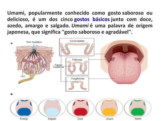 Umami, popularmente conhecido como gosto saboroso ou
delicioso, é um dos cinco gostos básicos junto com doce,
azedo, amargo e salgado. Umami é uma palavra de origem
japonesa, que significa "gosto saboroso e agradável".
 
