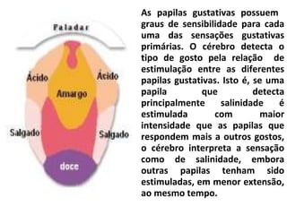 As papilas gustativas possuem
graus de sensibilidade para cada
uma das sensações gustativas
primárias. O cérebro detecta o
tipo de gosto pela relação de
estimulação entre as diferentes
papilas gustativas. Isto é, se uma
papila que detecta
principalmente salinidade é
estimulada com maior
intensidade que as papilas que
respondem mais a outros gostos,
o cérebro interpreta a sensação
como de salinidade, embora
outras papilas tenham sido
estimuladas, em menor extensão,
ao mesmo tempo.
 