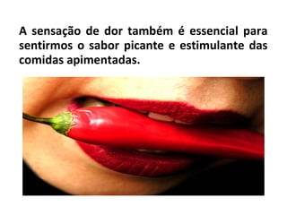 A sensação de dor também é essencial para
sentirmos o sabor picante e estimulante das
comidas apimentadas.
 