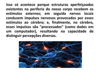 Isso só acontece porque estruturas aperfeiçoadas
existentes na periferia do nosso corpo recebem os
estímulos externos; em seguida nervos locais
conduzem impulsos nervosos provocados por esses
estímulos ao cérebro; e, finalmente, no cérebro,
esses impulsos são "processados" (como dados em
um computador), resultando na capacidade de
distinguir percepções diversas.
 